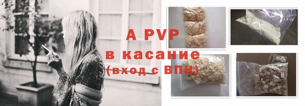 гашик Аркадак