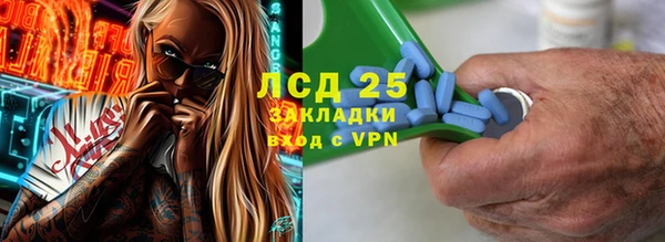 гашик Аркадак